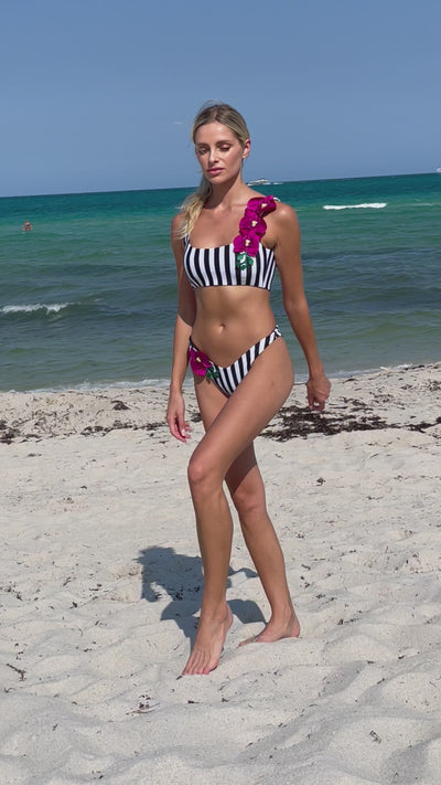 Orchids of Biscayne Top